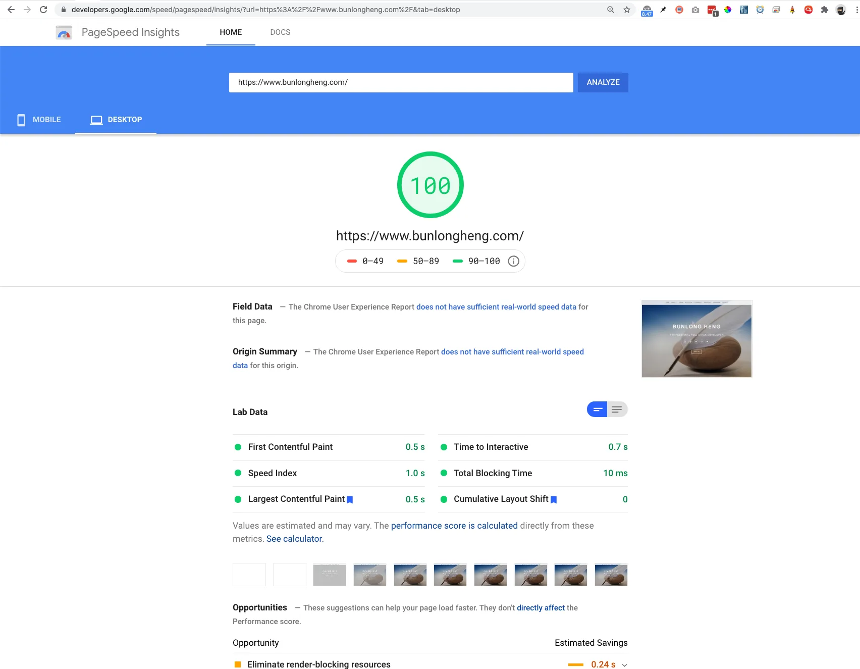 Page Speed Insight Score 100